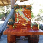 "���������" (��������� ����������� �����)