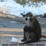 ������ �������� ����� ��������� ��������