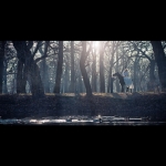 ��������� ����. ����� ������ (���������)