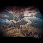 ������ ����� (��������) ���������